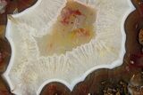 Polished Banded Agate Nodule - Kerrouchen, Morocco #326531-1